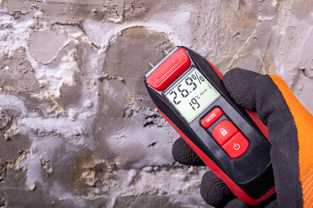 Best Local Mold Removal Service  in Lusk, WY