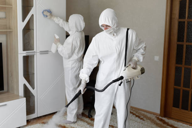 Best Toxic Mold Removal  in Lusk, WY
