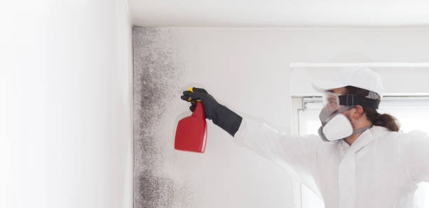 Best Mold Testing  in Lusk, WY